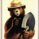 Bear mascots