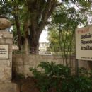 Educational organisations based in Barbados