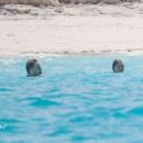 Taylor Swift – Spotted in a Bikini at a Beach in The Bahamas