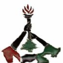 Alawite organizations