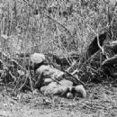 1944 in Burma