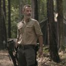 Andrew Lincoln - The Walking Dead - 454 x 256