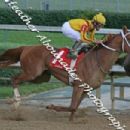 Breeders' Cup Challenge series
