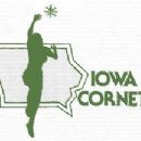 1980 disestablishments in Iowa