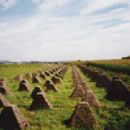 Anti-tank obstacles