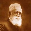 1871 elections in New Zealand