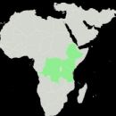 Taxa named by Georg August Schweinfurth