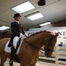Anders Dahl (equestrian)