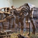 Mesozoic Wyoming