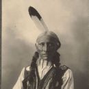 White Buffalo (chief)