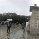 Bridges in Tokyo