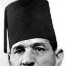 Ali Mahir Pasha
