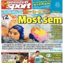 Nemzeti Sport - Nemzeti Sport Magazine Cover [Hungary] (1 August 2013)