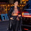 Camila Morrone – In a plaid crop top arriving at the Burberry dinner at Lucien in NY - 454 x 681