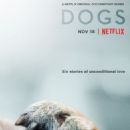 Dogs
