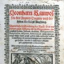 16th-century physicians