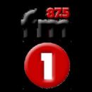 Radio stations established in 2017