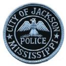 Local government in Mississippi