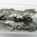 Teratogens