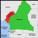 Decades in Cameroon