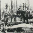 Tom Cole (stockman)