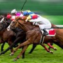 Flat racing