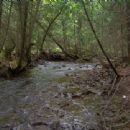 Protected areas of Dufferin County