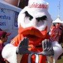Sebastian the Ibis