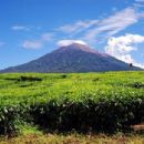 Kerinci Seblat National Park