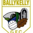 1953 in Gaelic games