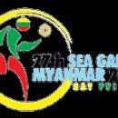 2013 in Burmese sport