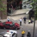2017 in Australian law