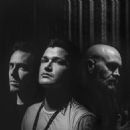 The Script