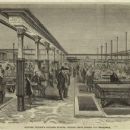 Carom billiards