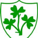 1950 in Gaelic games