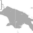 Bats of New Guinea