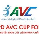 2010s in Vietnamese sport