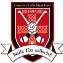 1893 in Gaelic games