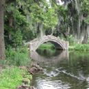 1854 in Louisiana