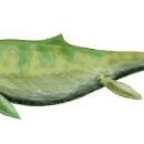 Mesozoic California