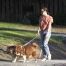 Aubrey Plaza – Takes her rescue dogs for a walk on a hot Los Angeles