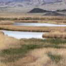 Springs of San Bernardino County, California