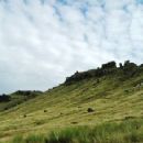 Freedom to roam