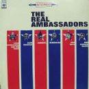Goodwill ambassador programmes