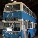 Public Transport Commission