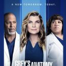 Grey's Anatomy (season 18) episodes