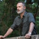 Andrew Lincoln - The Walking Dead - 454 x 341