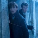 Fantastic Beasts: The Crimes of Grindelwald - Eddie Redmayne - 454 x 303