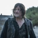 The Walking Dead: Daryl Dixon - Norman Reedus - 454 x 303