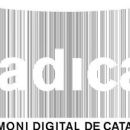 Spanish digital libraries